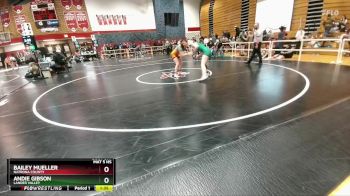 140 lbs Quarterfinal - Bailey Mueller, Natrona County vs Andie Gibson, Lander Valley