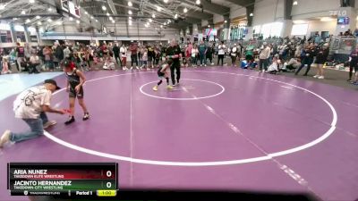 58 lbs Cons. Round 2 - Aria Nunez, Takedown Elite Wrestling vs Jacinto Hernandez, Takedown-City Wrestling