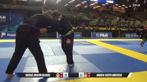 Andrew Joseph Anderson vs Michael Martin Salgado 2025 Pan Jiu Jitsu IBJJF Championship