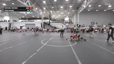98 lbs Finals (8 Team) - Cole Palma, Ohio Gold vs Michael Nicosia, BECA