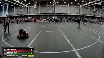 76 lbs Round 3 (10 Team) - Liam Merithew, Brawler Elite vs Elliana Servis, FLOW
