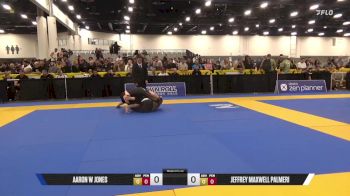 Jeffrey Maxwell Palmeri vs Aaron W Jones 2025 World IBJJF Jiu-Jitsu No-Gi Championship