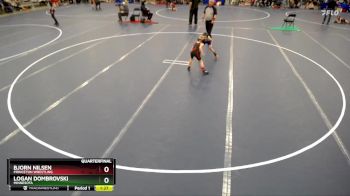 Quarterfinal - Logan Dombrovski, Minnesota vs Bjorn Nilsen, Princeton Wrestling