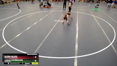 Quarterfinal - Logan Dombrovski, Minnesota vs Bjorn Nilsen, Princeton Wrestling