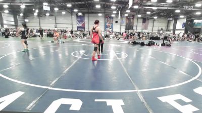 138 lbs Rr Rnd 2 - Lily Fogarty, Elm Street Grapplers vs Riley Diehl, TNWC Divas