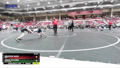 76 lbs Semifinal - Reese Daleske, Blue Pride vs Grayson Wolf, Raw