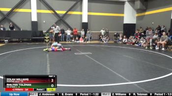 73 lbs Round 1 (4 Team) - Zolah Williams, Missouri Gold vs Rhilynn Tolzman, MN Storm 2