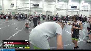 48 lbs Finals (2 Team) - Trey Liscotti, Silo vs Gavin Saxton, 84 Athletes