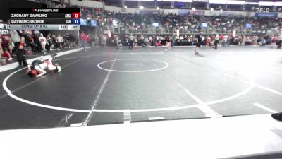 65 lbs Consi Of 8 #2 - Zachary Dawejko, Arkansas Elite vs Gavin McGeorge, Capital Punishment