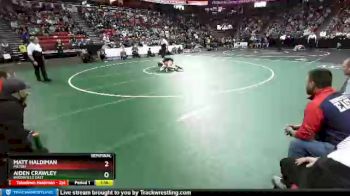 D1-126 lbs Semifinal - Aiden Crawley, Brookfield East vs Matt Haldiman, Milton