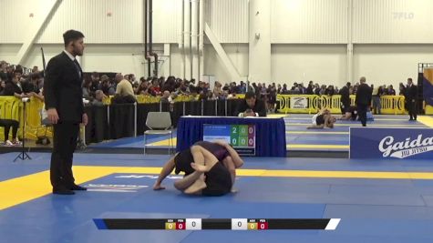 Carlos F Almonte Ibarra vs Jacob M Anderson 2024 World IBJJF Jiu-Jitsu No-Gi Championship