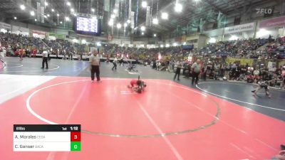 61 lbs Round Of 16 - Ayden Morales, Cedaredge Bruins vs Corbin Gonser, Baca County Brawlers