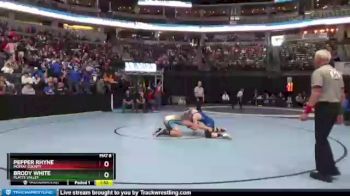 170 lbs Quarterfinal - Pepper Rhyne, Moffat County vs Brody White, Platte Valley