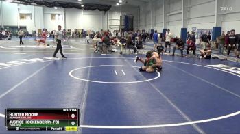 165 lbs Quarterfinal - Justice Hockenberry-Folk, York (PA) vs Hunter Moore, Roanoke College