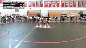 126 lbs Round Of 16 - Dominic Staunton, Wellesley vs Nathan Sayers, Xaverian