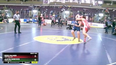 215 lbs Cons. Round 4 - Reed Palmer, Troy Area Hs vs Austin Babcock, Tioga Sr HS