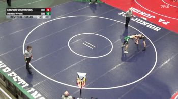 132 lbs Consi Of 8 #1 - Lincoln Golomboski, Mifflinburg vs Derek White, Donegal
