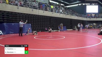 96 lbs Semifinal - Nialah Hawkins, Binghamton vs Ana Mendoza, Springfield