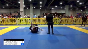 ANTHONY GABRIEL ANDRADE SILVA vs DANIEL JAMES FESSLER 2024 American National IBJJF Jiu-Jitsu Championship