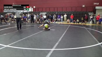 125 lbs Champ. Round 2 - Jacob Bucci, Southeastern vs Cee Jay Hamilton, AWC