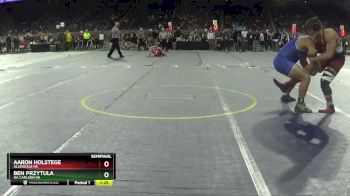 D2-285 lbs Semifinal - Ben Przytula, OA Carlson HS vs Aaron Holstege, Allendale HS