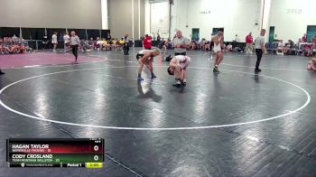 157 lbs Finals (8 Team) - Hagan Taylor, Naperville Phoenix vs Cody Crosland, Team Montana Willston