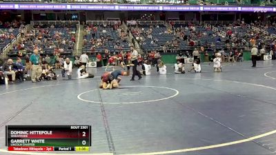 2A 175 lbs Semifinal - Dominic Hittepole, Wheatmore vs Garrett White, Lincoln Charter