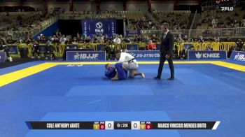 Marco Vinicius Mendes Brito vs Cole Anthony Abate 2025 Pan Jiu Jitsu IBJJF Championship