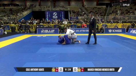 Marco Vinicius Mendes Brito vs Cole Anthony Abate 2025 Pan Jiu Jitsu IBJJF Championship