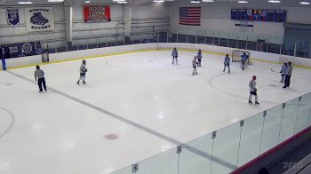 Replay: Home - 2025 Bearcat Grn vs Team One U13 | Jun 7 @ 10 AM