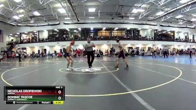 125 Freshman/Soph Quarterfinal - Dominic Pascoe, Averett University vs Nicholas Dropiewski, Adrian