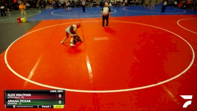 93 lbs Semis & 1st Wrestleback (8 Team) - Alex Waltman, Little Falls vs Ariana Pickar, Brainerd