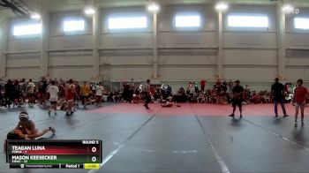 92 lbs Round 5 (8 Team) - Mason Keesecker, CRWC vs Teagan Luna, FORGE