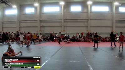 92 lbs Round 5 (8 Team) - Mason Keesecker, CRWC vs Teagan Luna, FORGE