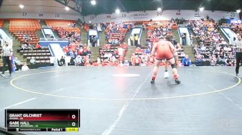 215 lbs Quarterfinals (8 Team) - Grant Gilchrist, Mason vs Gabe Hall, Monroe Jefferson