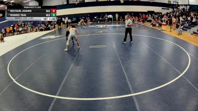 133 lbs Cons. Round 2 - Michael Adams, Ursinus vs Romeo Tsai, McDaniel