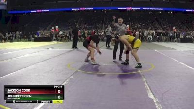 D3-215 lbs Cons. Semi - John Petersen, Hillsdale HS vs Jackson Cook, Whitehall HS