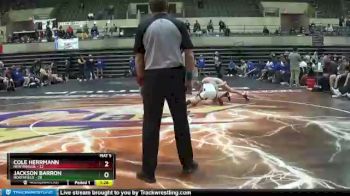 132 lbs Round 2 (4 Team) - Jackson Barron, Northfield vs Cole Herrmann, New Prague