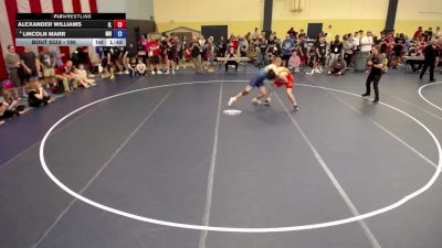 190 lbs Champ. Round 1 - Alexander Williams, IL vs Lincoln Marr, MN