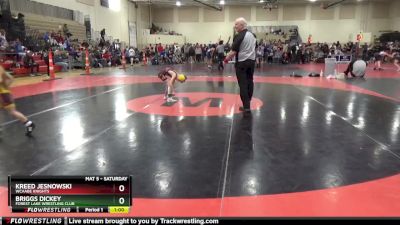 55 lbs Cons. Round 4 - Briggs Dickey, Forest Lake Wrestling Club vs Kreed Jesnowski, WCAABE Knights