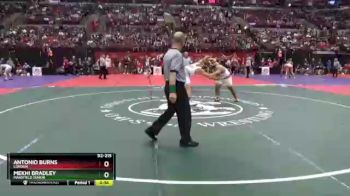 D2-215 lbs Champ. Round 1 - Mekhi Bradley, Mansfield Senior vs Antonio Burns, London