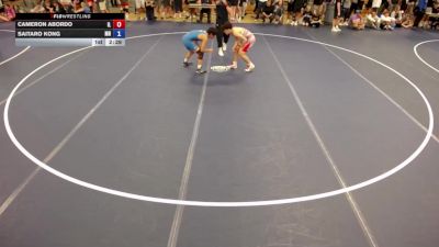 120 lbs Cons. Round 2 - Cameron Abordo, IL vs Saitaro Kong, MN