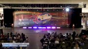 Dance Savannah - Barbees [2025 Mini - Premier - Hip Hop Day 1] 2025 Spirit Cheer Dance Grand Nationals & Cheer Nationals