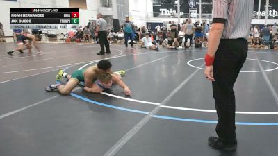 134 lbs Rr Rnd 3 - Noah Hernandez, Broad Axe Gold - HSC vs Jax Bucco, Triumph Black - HSC
