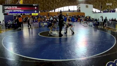 110 lbs Cons. Round 3 - Caelyn Petri, New Jersey City University vs Theresa Zeppetelli, Felician