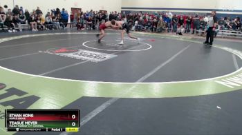 133 lbs Cons. Round 2 - Teague Meyer, Fulda-Murray Cty Central vs Ethan Hong, Maple Grove