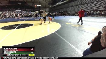 53 lbs Champ. Round 1 - Luke Vizgaudis, Twin City Wrestling Club vs Cooper Platt, Washington