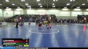 174 lbs Semis & 3rd Wb (16 Team) - Donovan Palmer, Baldwin Wallace vs LJ Richardson, Coe