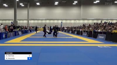 Gustavo Dantas vs Ram Ananda 2024 World Masters IBJJF Jiu-Jitsu Championship