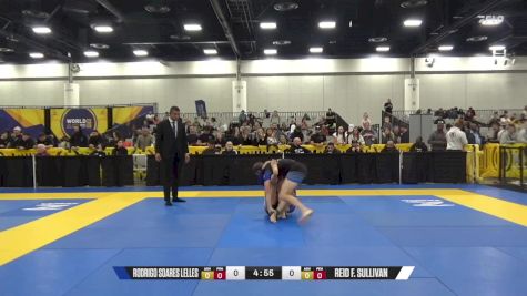 Reid F. Sullivan vs Rodrigo Soares Lelles 2024 World IBJJF Jiu-Jitsu No-Gi Championship